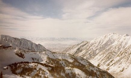 snwbird.jpg - 28.3 K