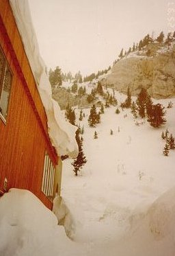 snowfrm2.jpg - 20.3 K